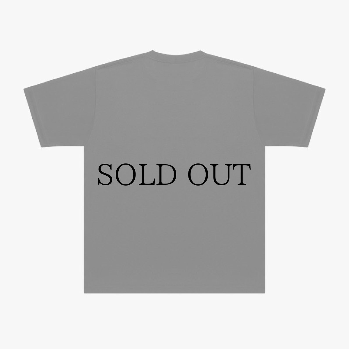 画像4: APPLEBUM(アップルバム) / “LOVE & UNDERSTANDING” ELITE PERFORMANCE T-SHIRT DRY (4)