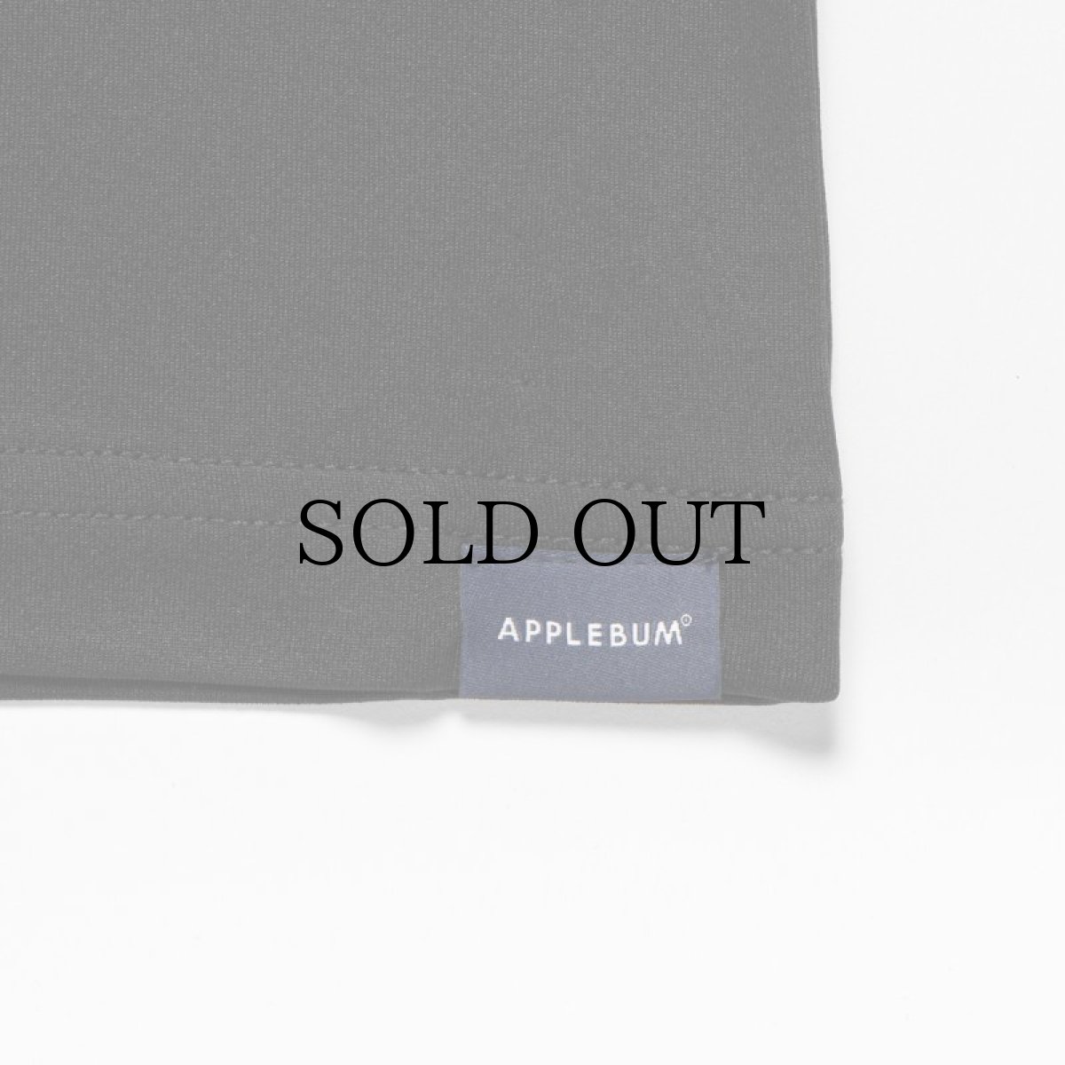 画像10: APPLEBUM(アップルバム) / “LOVE & UNDERSTANDING” ELITE PERFORMANCE T-SHIRT DRY (10)