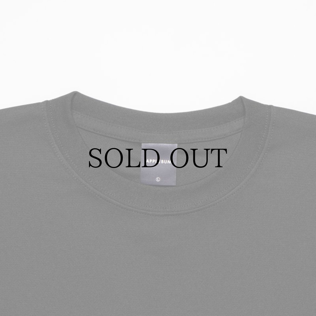 画像6: APPLEBUM(アップルバム) / “LOVE & UNDERSTANDING” ELITE PERFORMANCE T-SHIRT DRY (6)