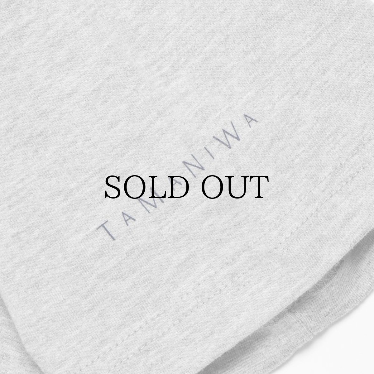 画像16: APPLEBUM(アップルバム) / "THE WIZARD" T-SHIRT 6.2OZ (16)