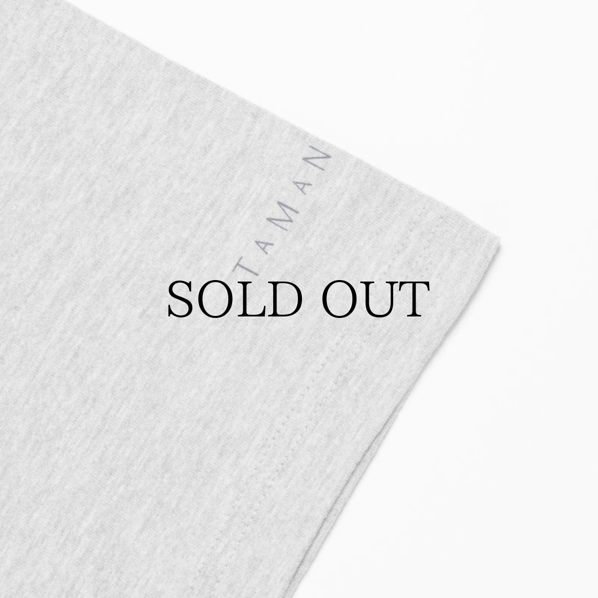 画像14: APPLEBUM(アップルバム) / "THE WIZARD" T-SHIRT 6.2OZ (14)