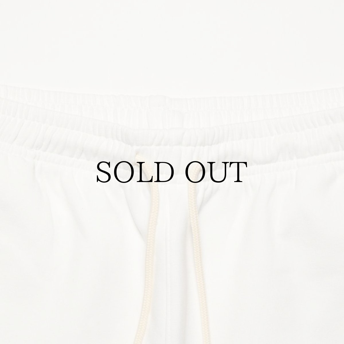 画像9: APPLEBUM(アップルバム) / DOUBLE KNIT SHORT PANTS (9)