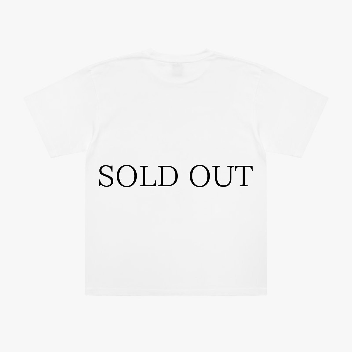 画像6: APPLEBUM(アップルバム) / "STUNTS, BLUNTS & HIP HOP" T-SHIRT 6.2OZ (6)