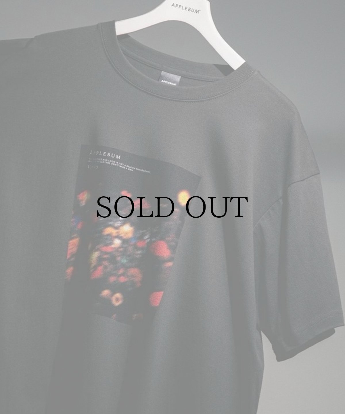 画像10: APPLEBUM(アップルバム) / "UTOPIA" PHOTO T-SHIRT 6.2OZ (10)