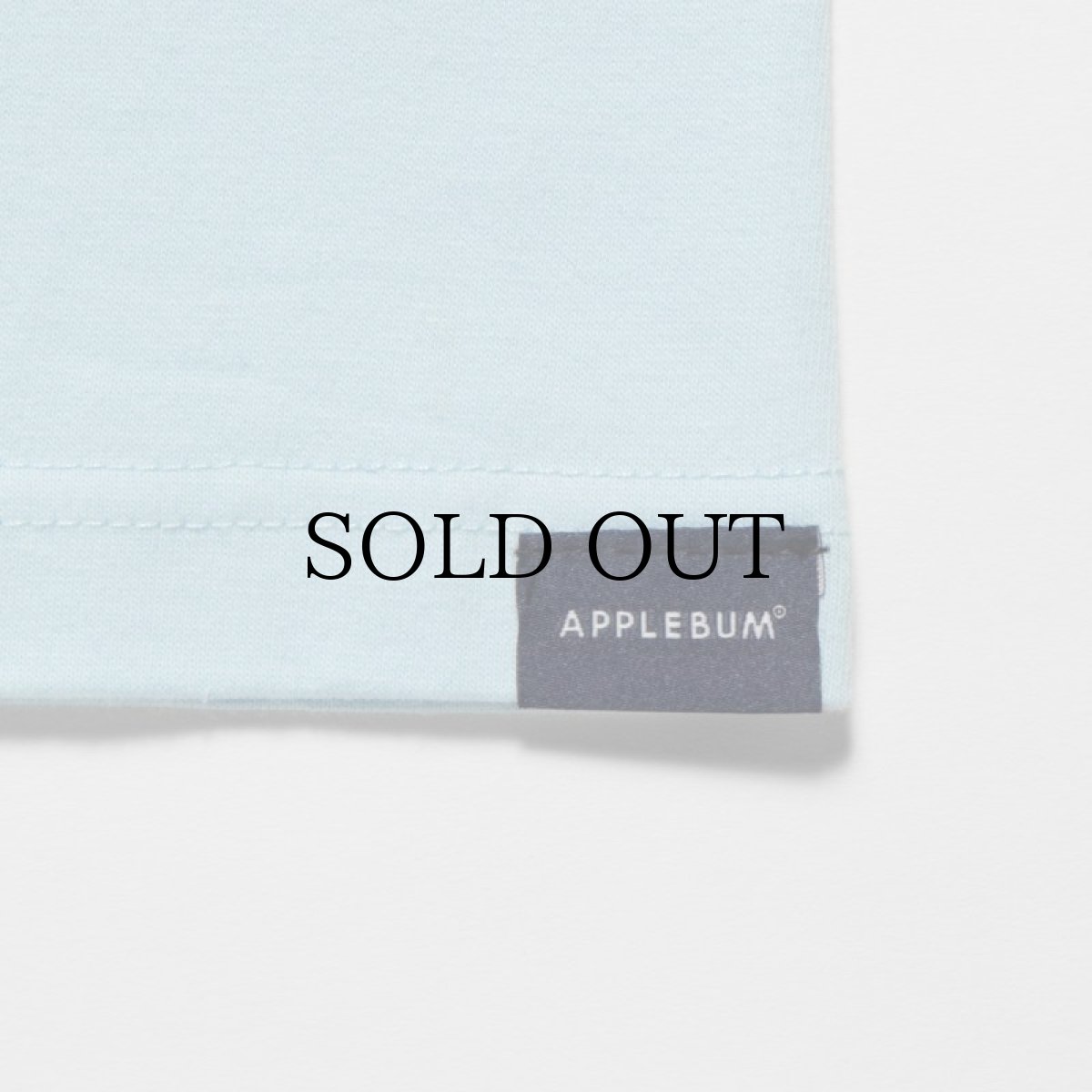 画像22: APPLEBUM(アップルバム) / "STUNTS, BLUNTS & HIP HOP" T-SHIRT 6.2OZ (22)