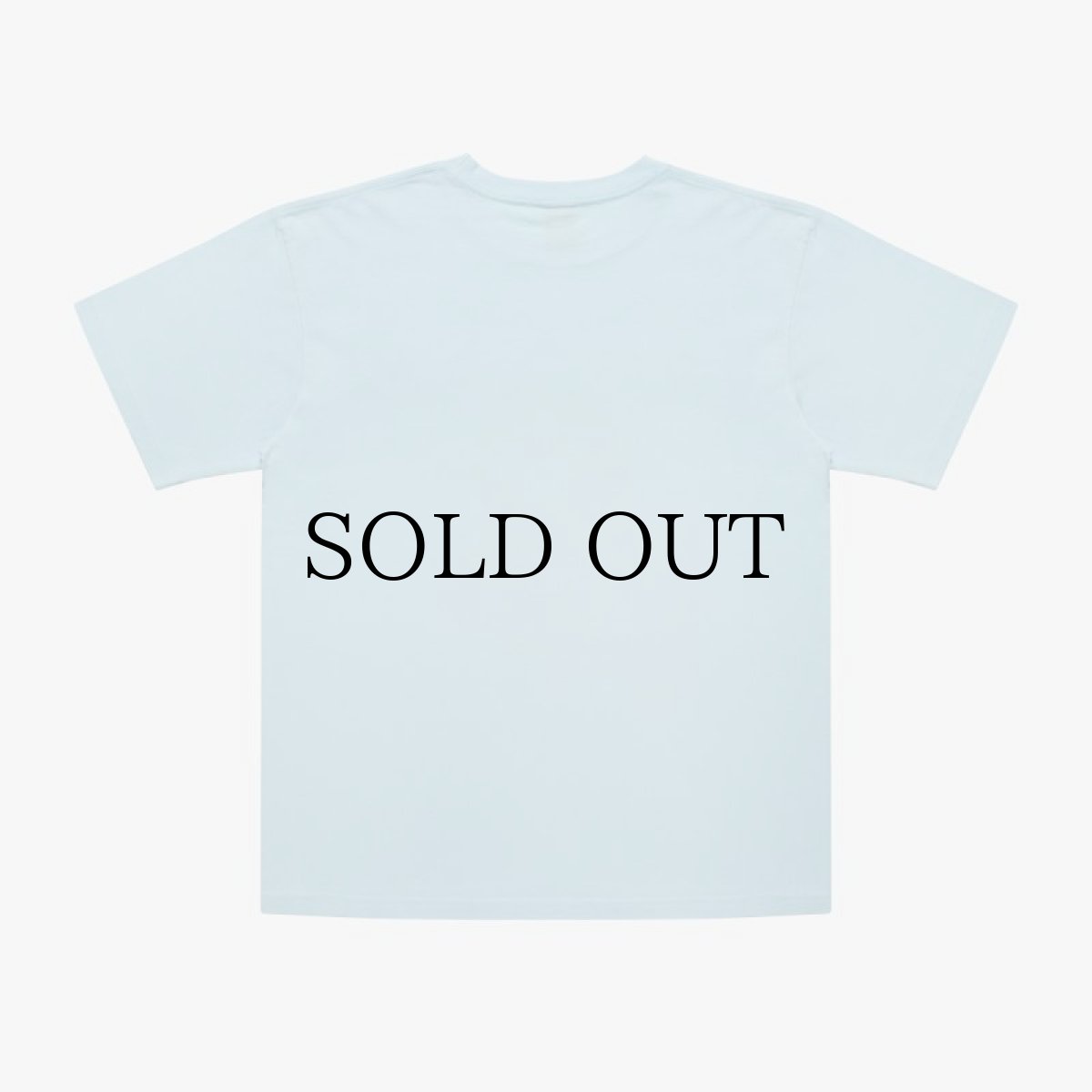 画像7: APPLEBUM(アップルバム) / "STUNTS, BLUNTS & HIP HOP" T-SHIRT 6.2OZ (7)