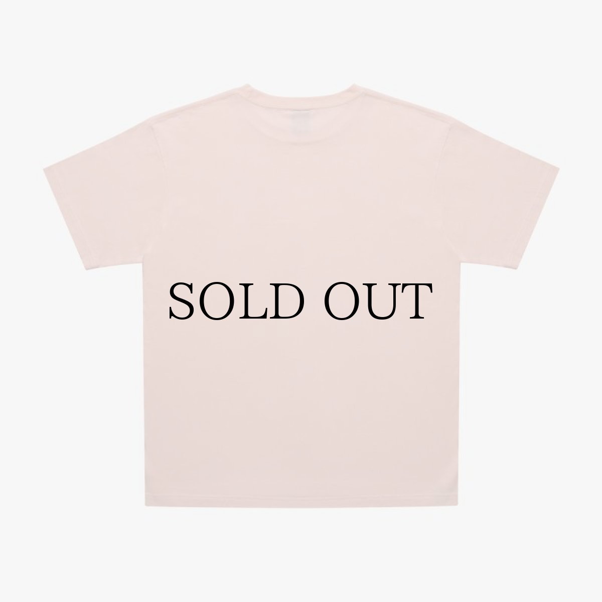 画像5: APPLEBUM(アップルバム) / "STUNTS, BLUNTS & HIP HOP" T-SHIRT 6.2OZ (5)