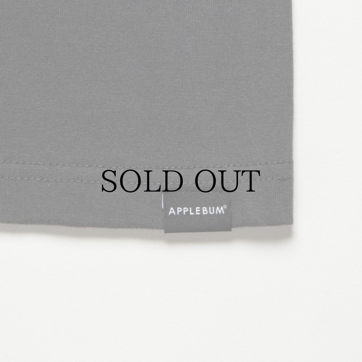 画像9: APPLEBUM(アップルバム) / "UTOPIA" PHOTO T-SHIRT 6.2OZ (9)