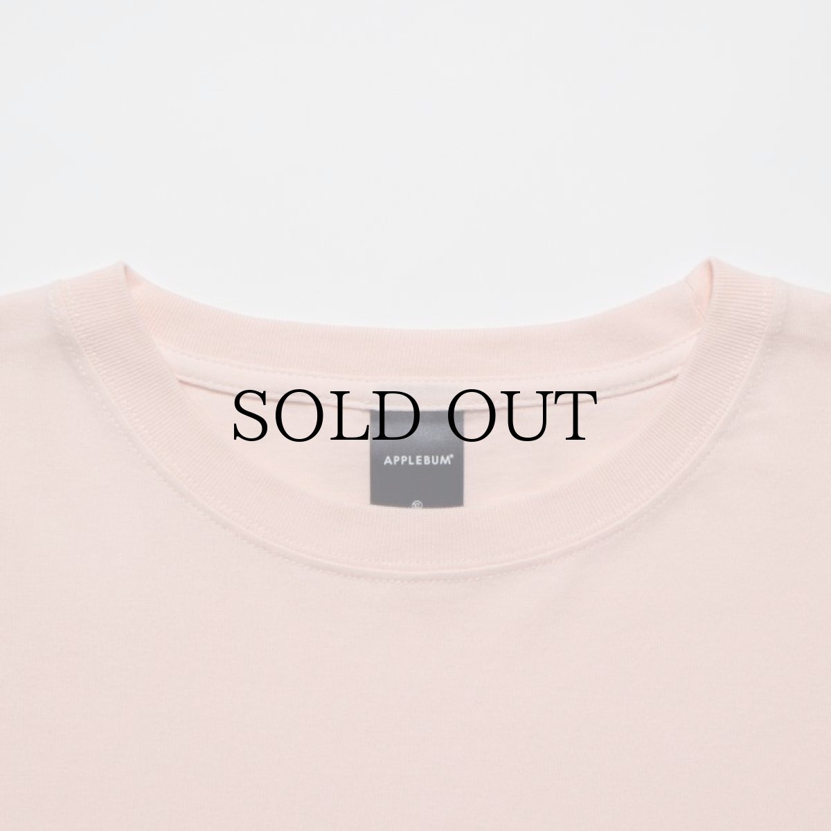 画像14: APPLEBUM(アップルバム) / "STUNTS, BLUNTS & HIP HOP" T-SHIRT 6.2OZ (14)