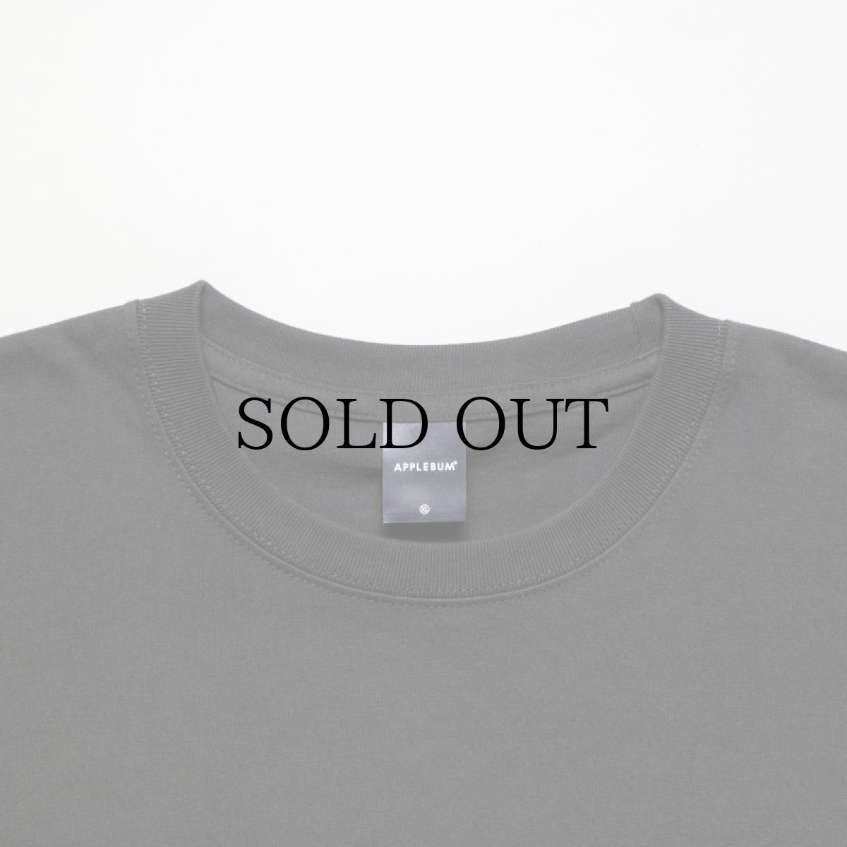 画像7: APPLEBUM(アップルバム) / "UTOPIA" PHOTO T-SHIRT 6.2OZ (7)