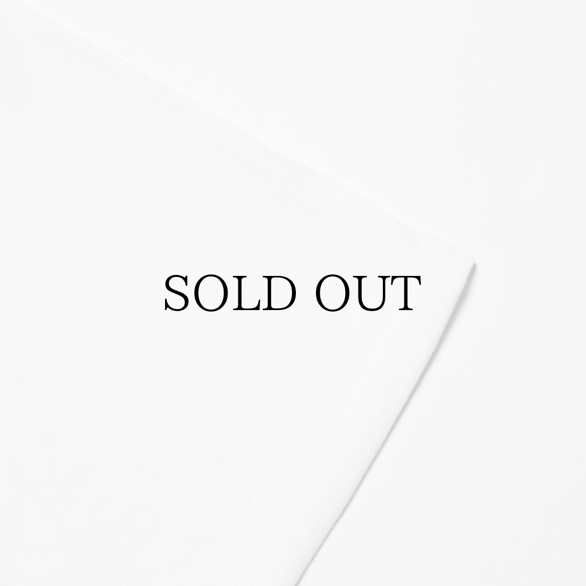 画像10: APPLEBUM(アップルバム) / DRY "COTTON LIKE " T-SHIRT (10)