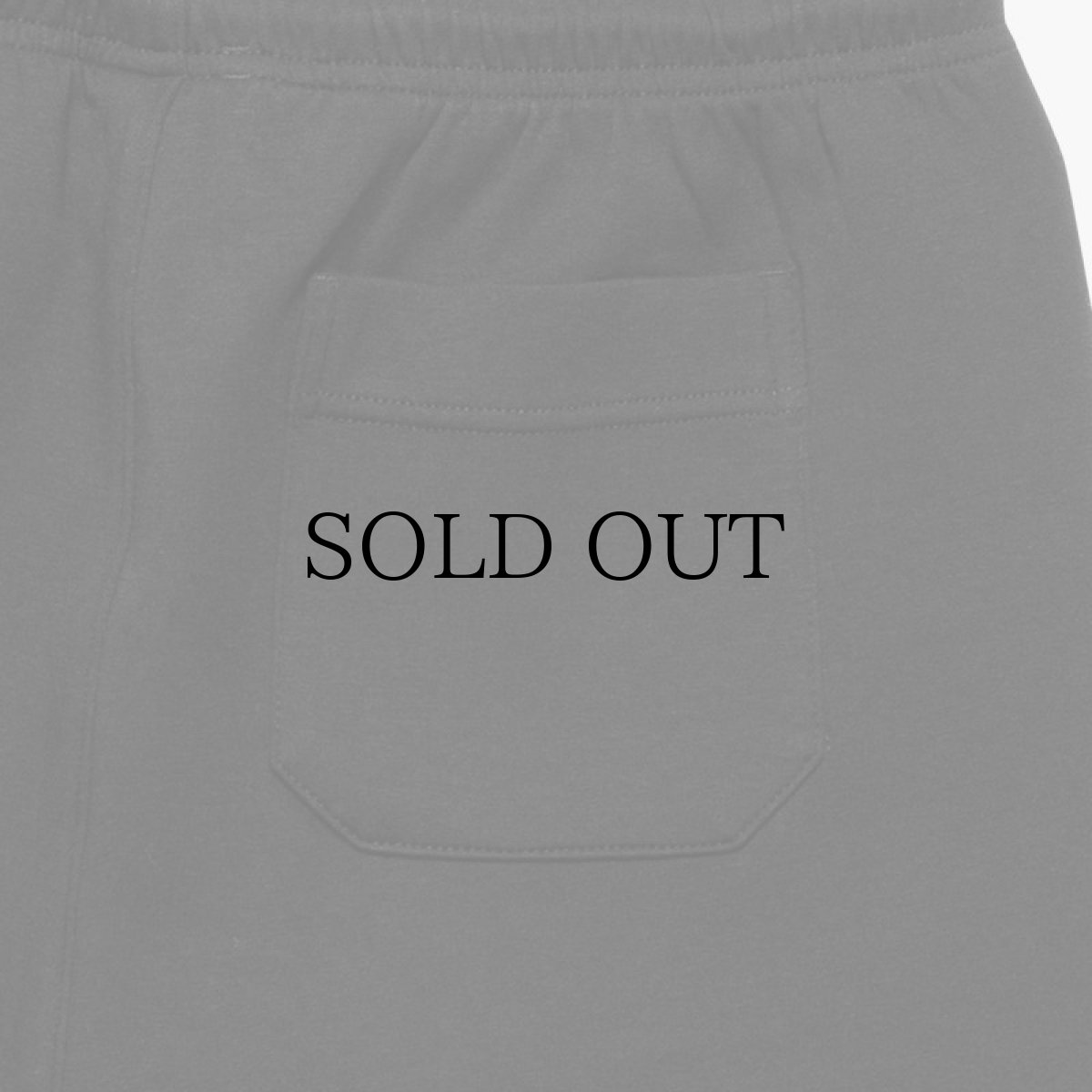 画像19: APPLEBUM(アップルバム) / DOUBLE KNIT SHORT PANTS (19)