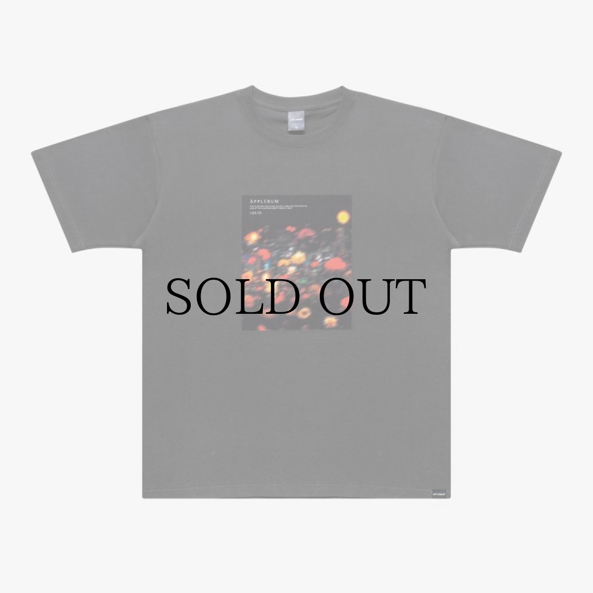 画像4: APPLEBUM(アップルバム) / "UTOPIA" PHOTO T-SHIRT 6.2OZ (4)