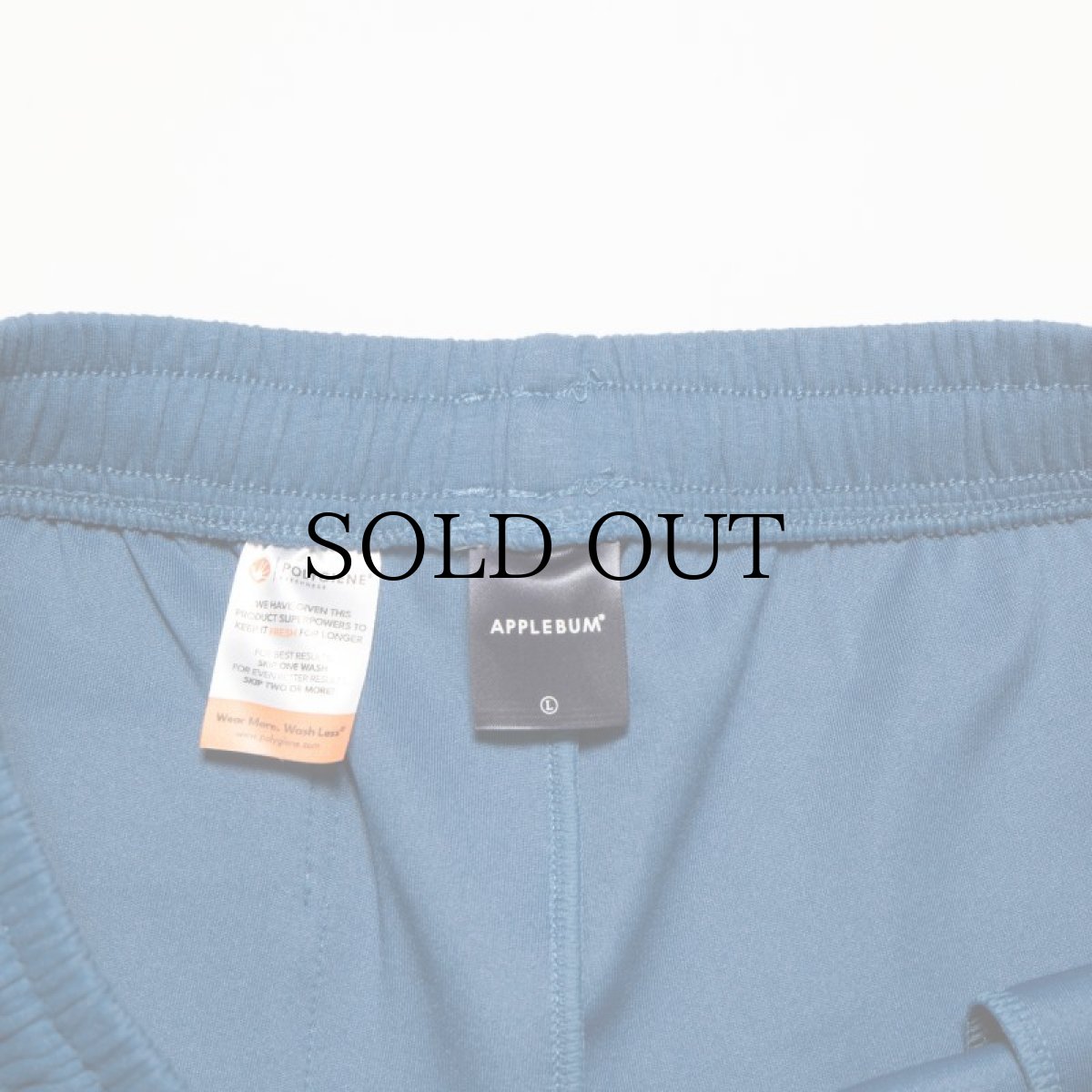 画像11: APPLEBUM(アップルバム) / DOUBLE KNIT SHORT PANTS (11)