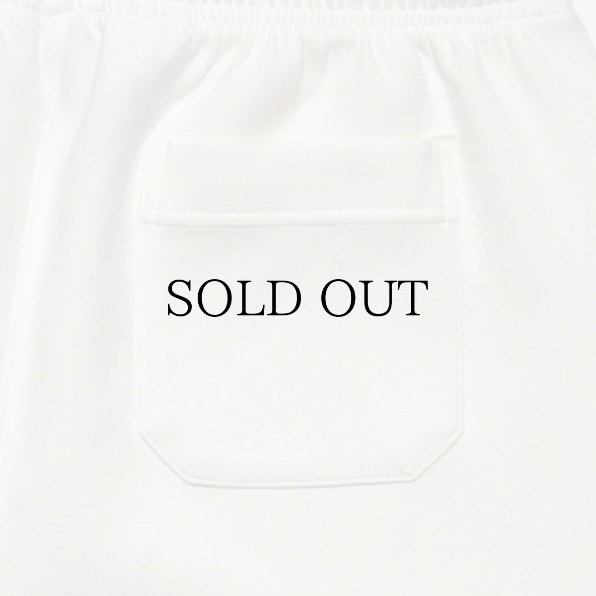 画像21: APPLEBUM(アップルバム) / DOUBLE KNIT SHORT PANTS (21)