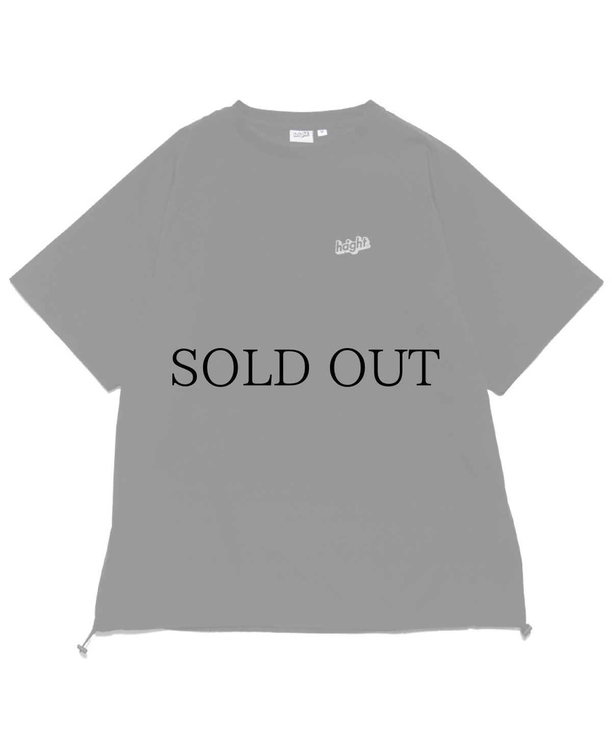 画像2: HAIGHT / RELAXING DRY SS Tee (2)