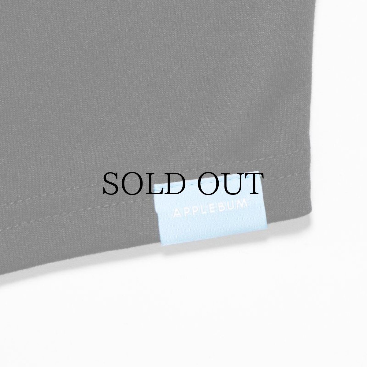 画像11: APPLEBUM(アップルバム) / DRY "COTTON LIKE " T-SHIRT (11)