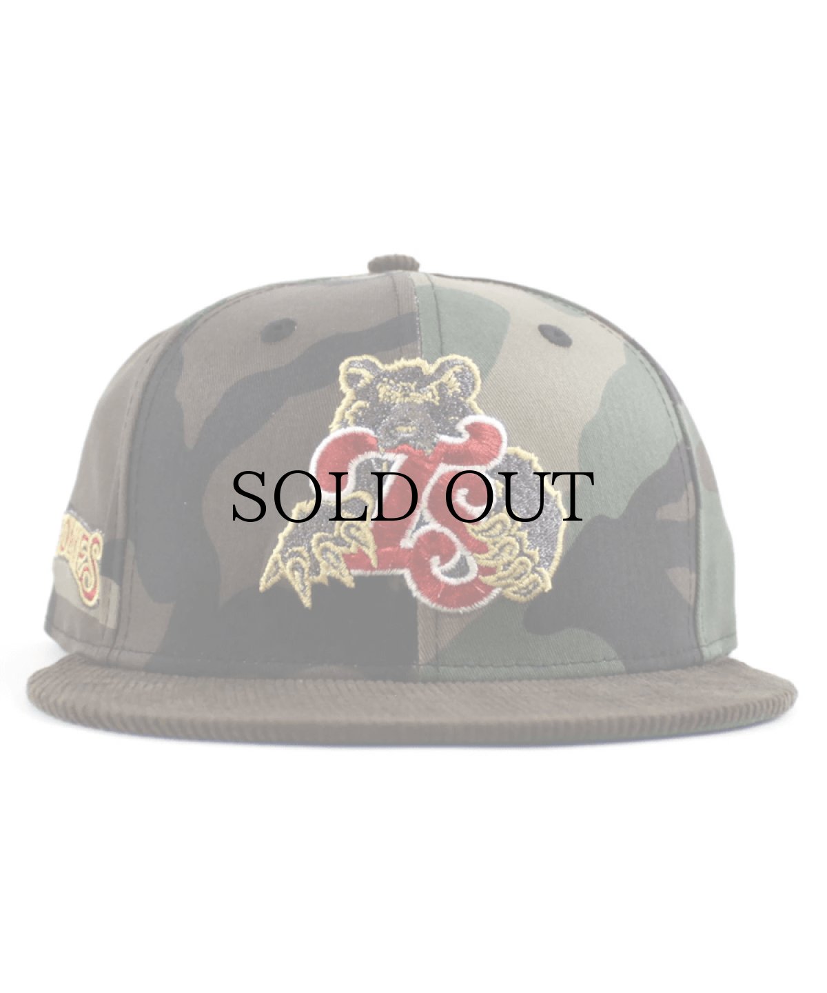 画像2: NEW ERA / 59FIFTY TENSMO TENNESSEE SMOKIES BEAR (2)