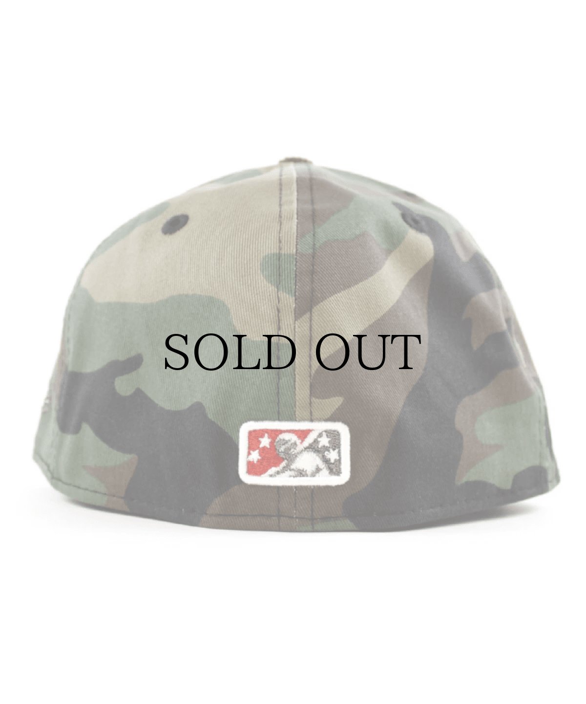 画像4: NEW ERA / 59FIFTY TENSMO TENNESSEE SMOKIES BEAR (4)