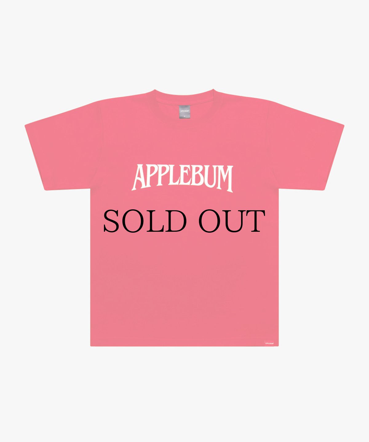 画像4: APPLEBUM(アップルバム) / "Bridge Logo" T-shirt 6.2oz (4)