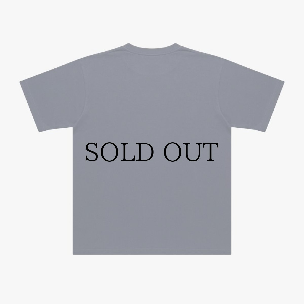 画像7: APPLEBUM(アップルバム) / "Bridge Logo" T-shirt 6.2oz (7)