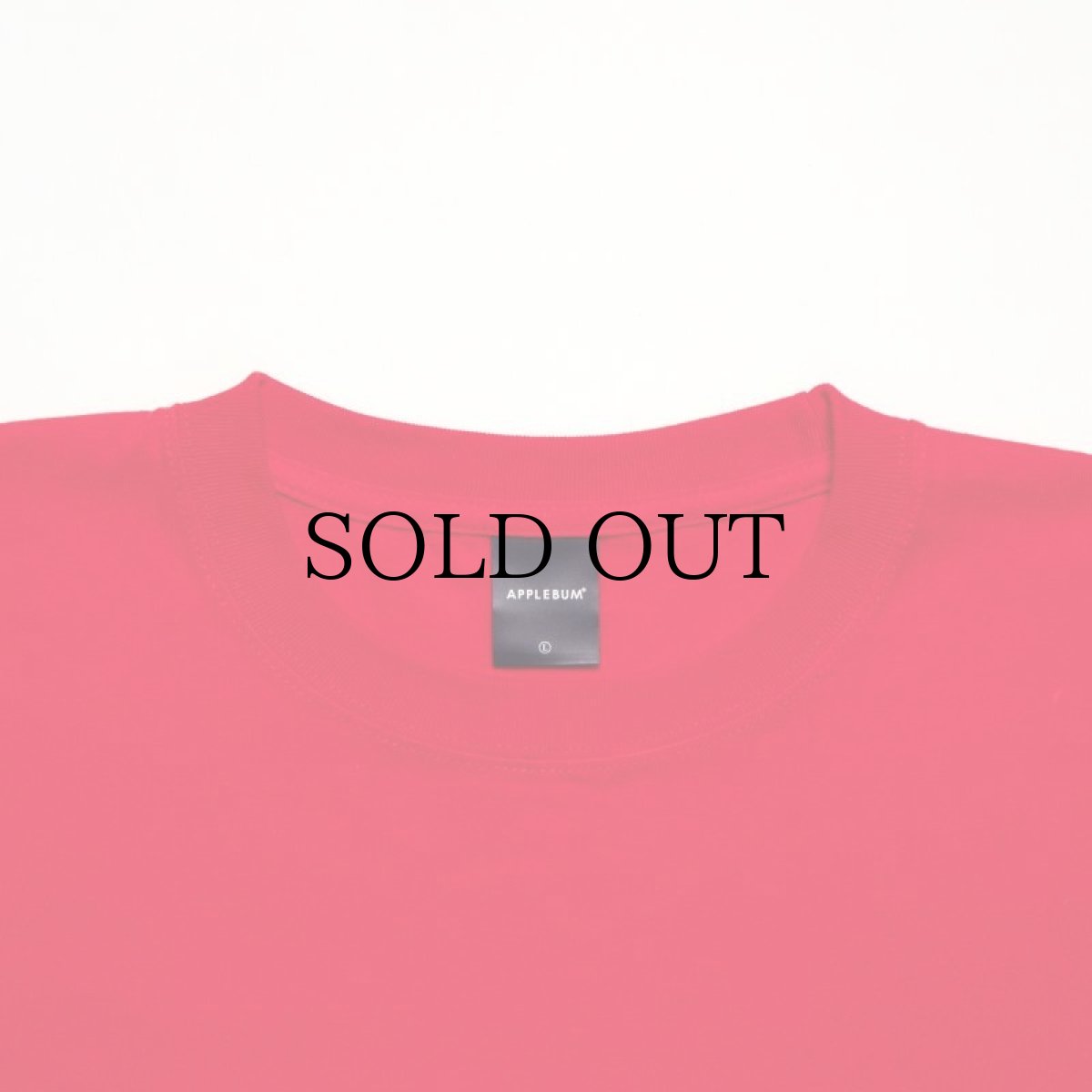 画像16: APPLEBUM(アップルバム) / "Bridge Logo" T-shirt 6.2oz (16)