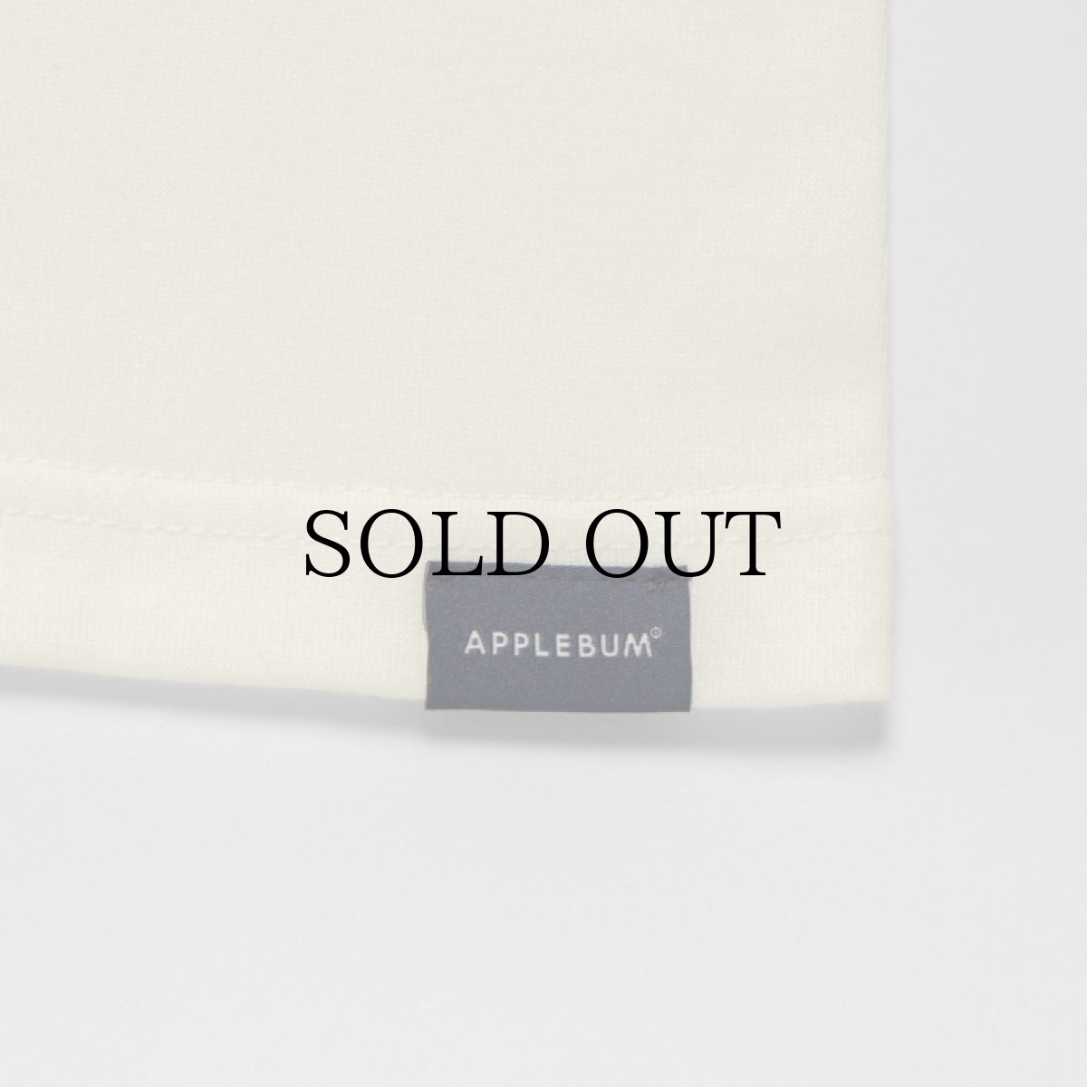 画像21: APPLEBUM(アップルバム) / "Bridge Logo" T-shirt 6.2oz (21)