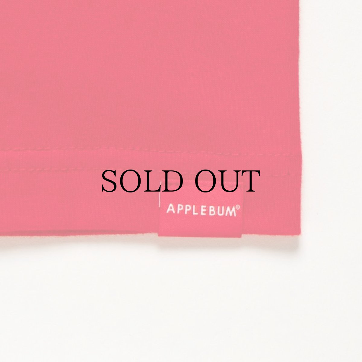 画像24: APPLEBUM(アップルバム) / "Bridge Logo" T-shirt 6.2oz (24)