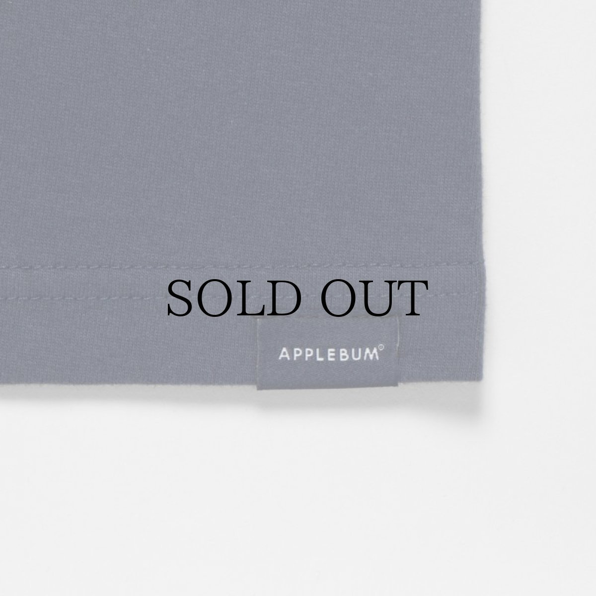 画像23: APPLEBUM(アップルバム) / "Bridge Logo" T-shirt 6.2oz (23)