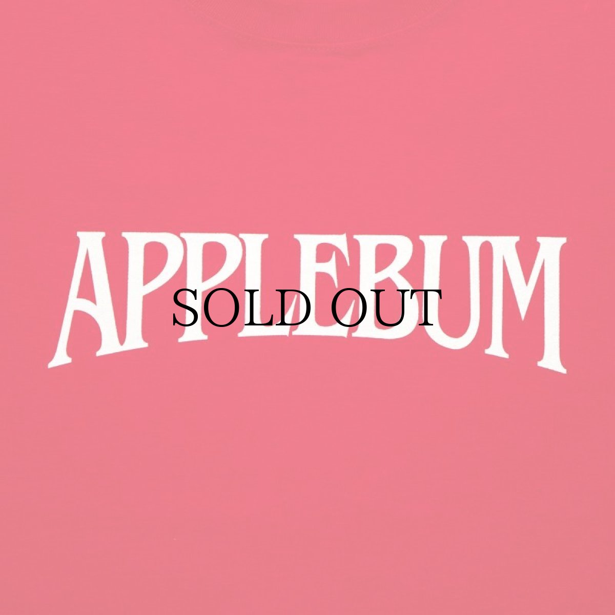 画像12: APPLEBUM(アップルバム) / "Bridge Logo" T-shirt 6.2oz (12)