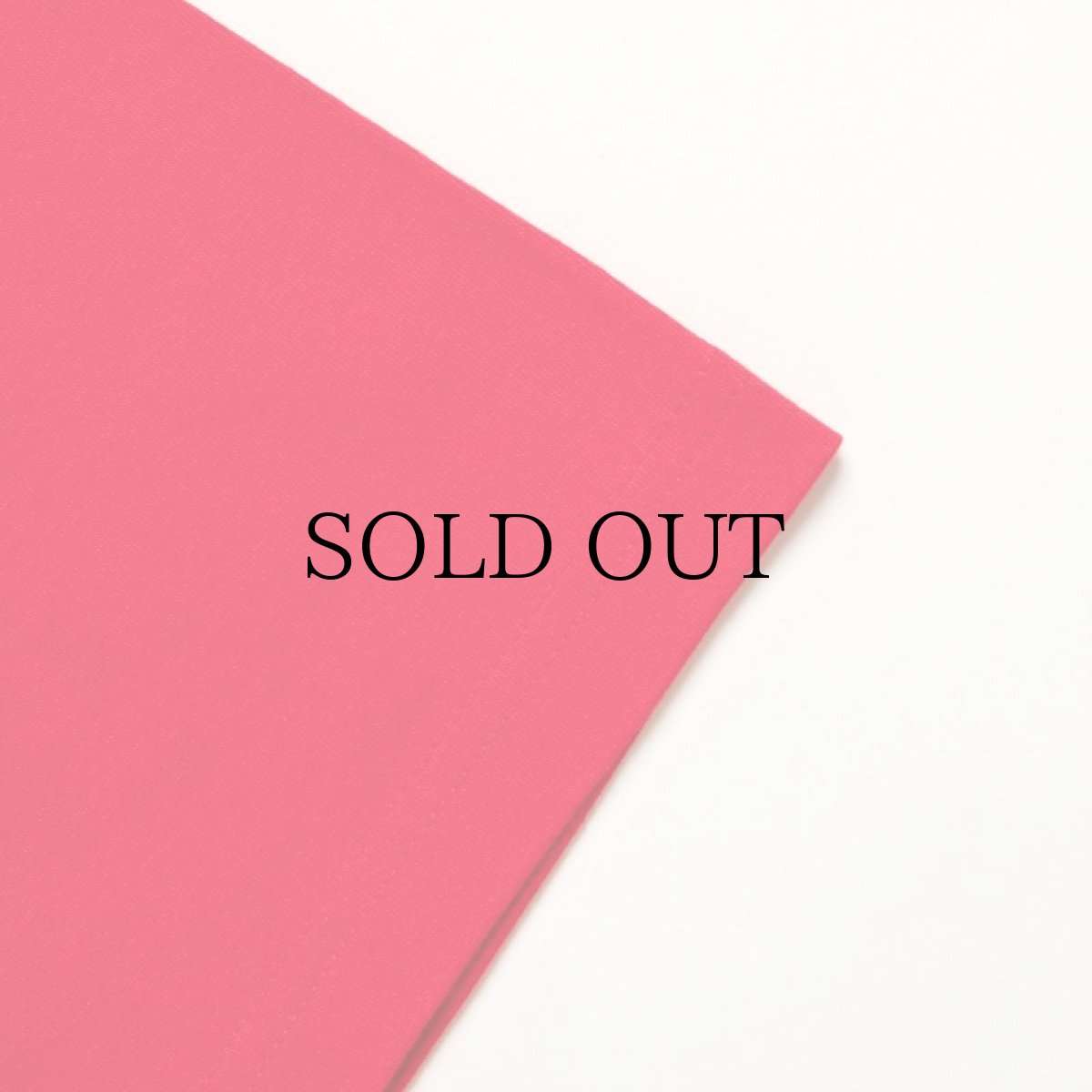 画像20: APPLEBUM(アップルバム) / "Bridge Logo" T-shirt 6.2oz (20)