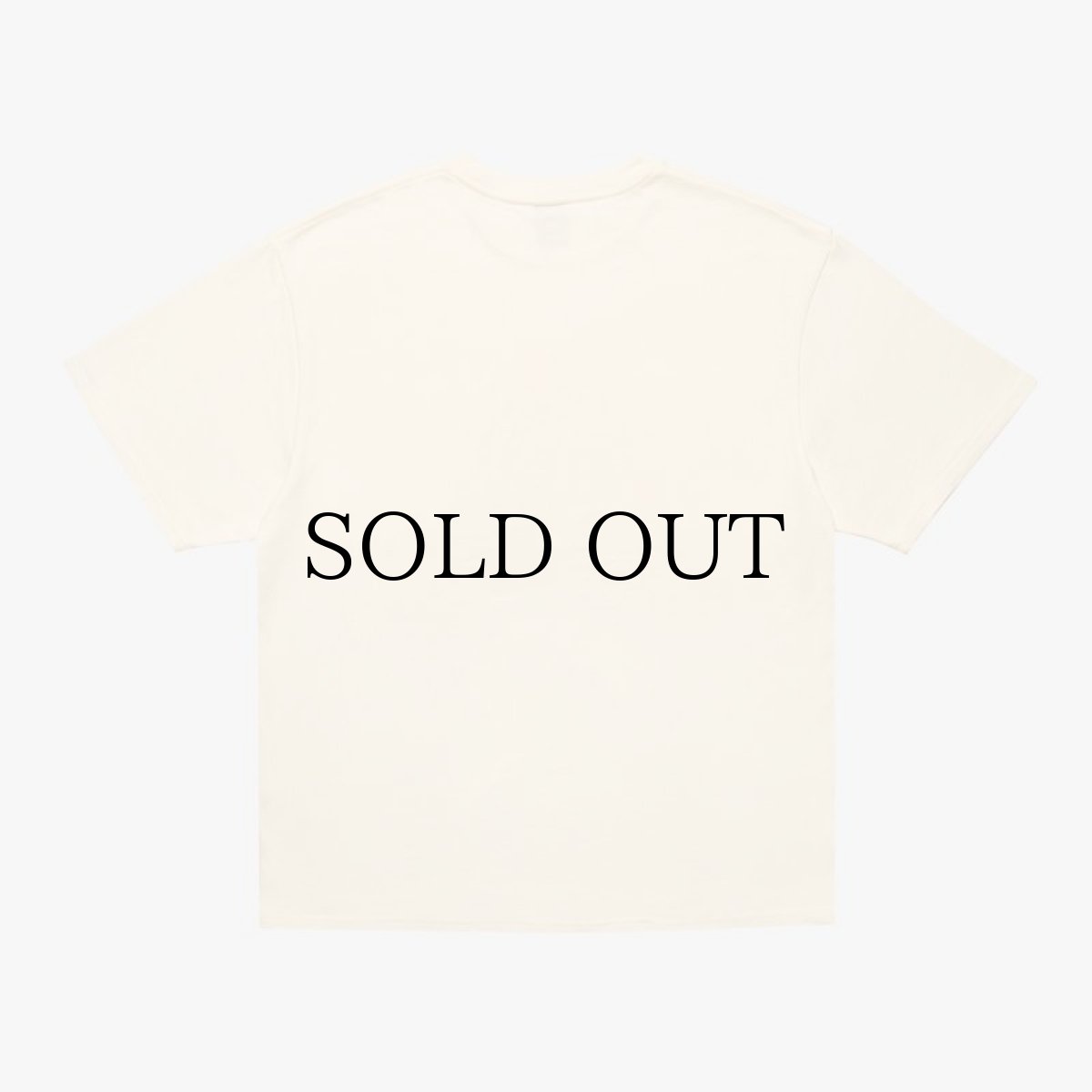 画像2: APPLEBUM(アップルバム) / "Milk Crate" T-shirt (12oz) (2)