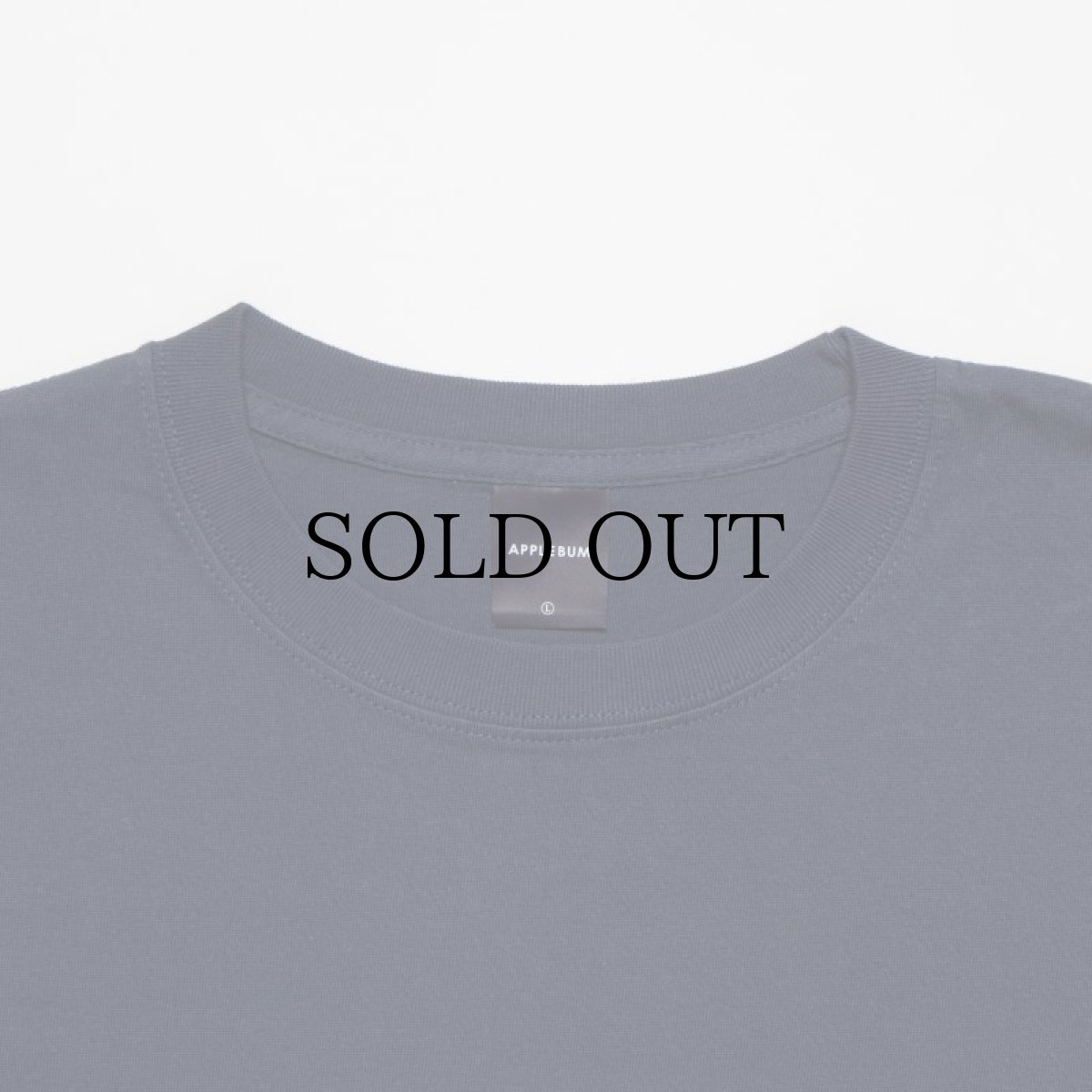 画像15: APPLEBUM(アップルバム) / "Bridge Logo" T-shirt 6.2oz (15)