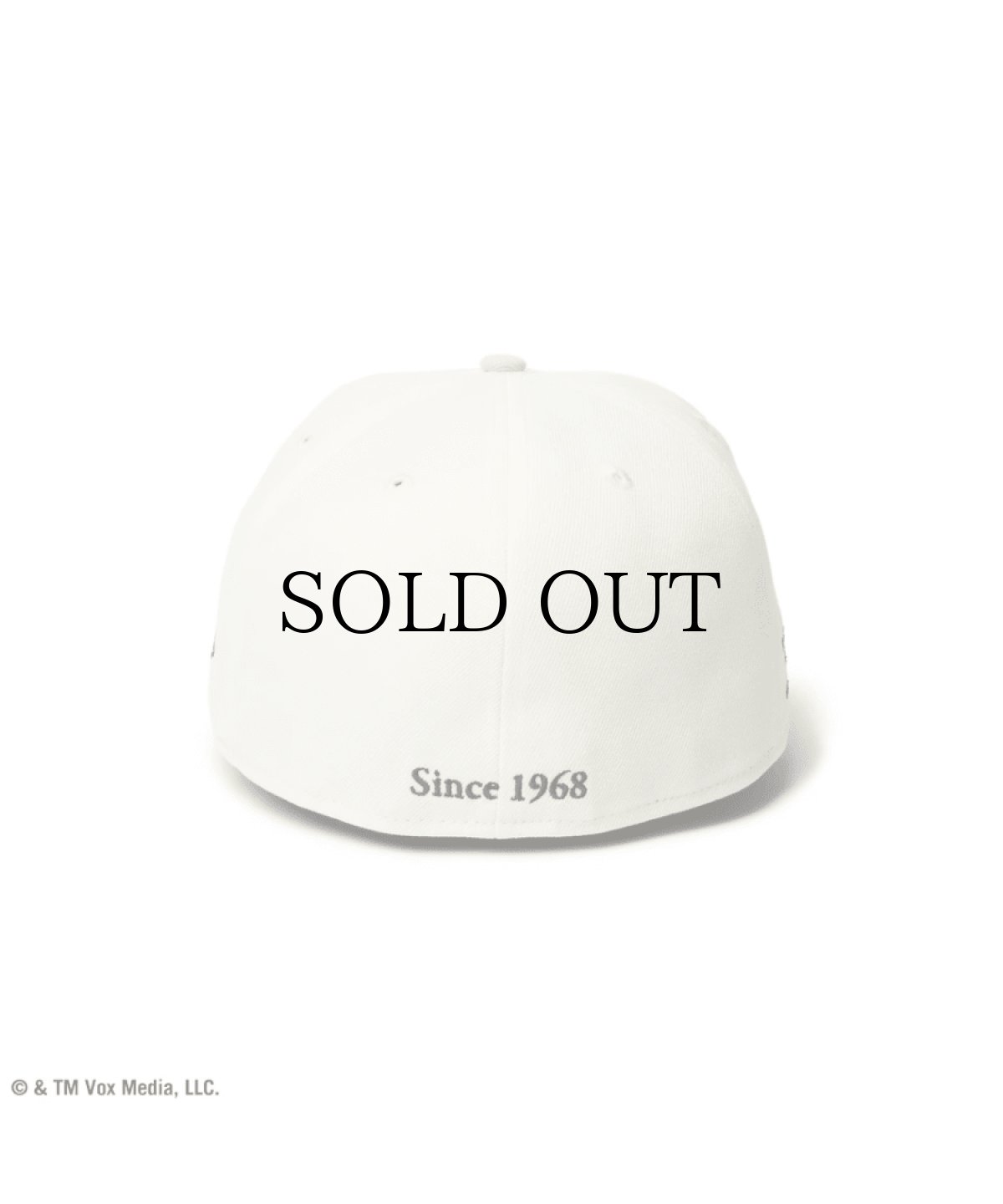 画像2: NEW ERA / 59FIFTY New York Magazine クローム × ミッドナイトネイビー ストーンバイザー (2)