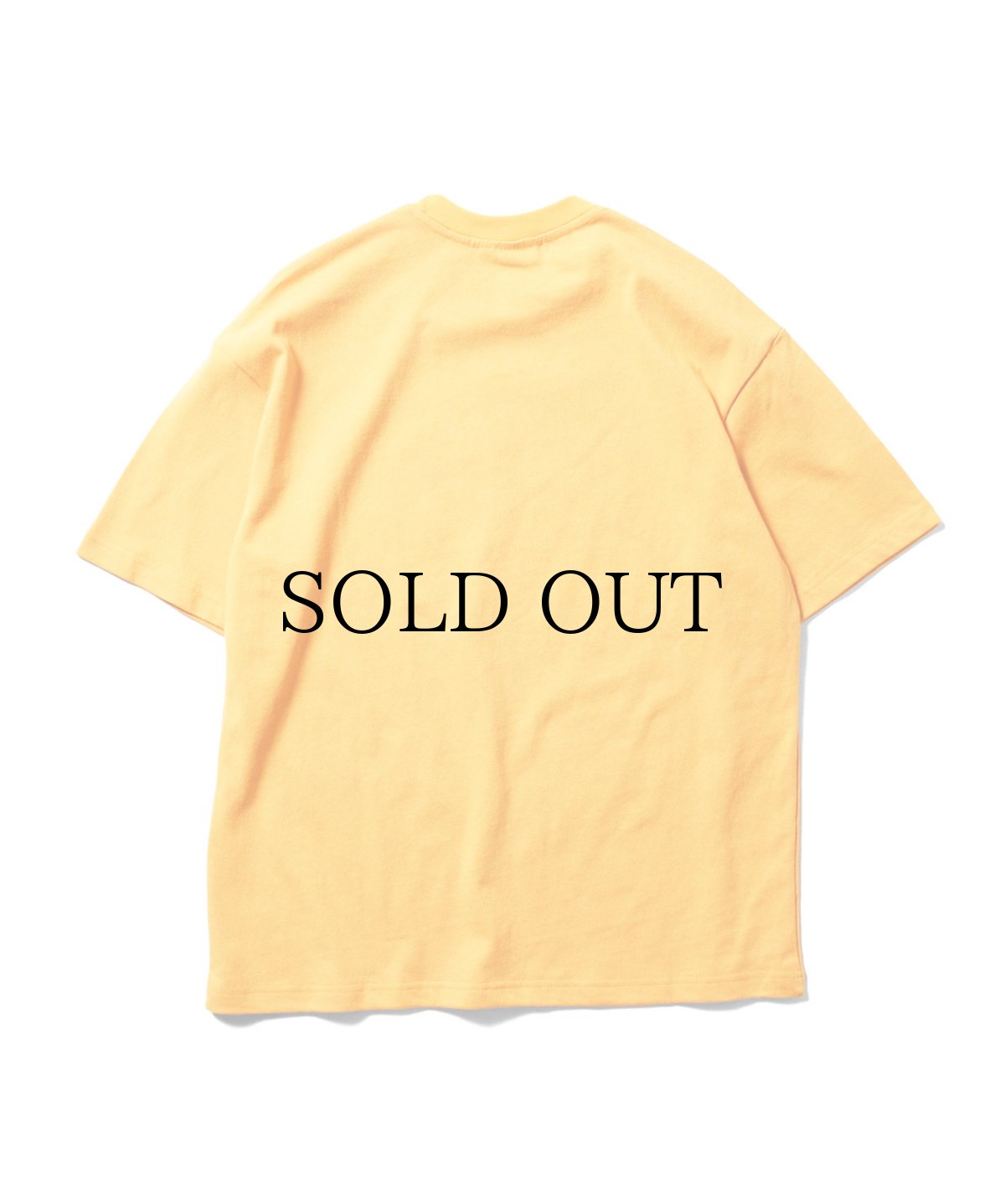 画像7: PWNED(パウンド) / PWNED LOGO TEE (7)