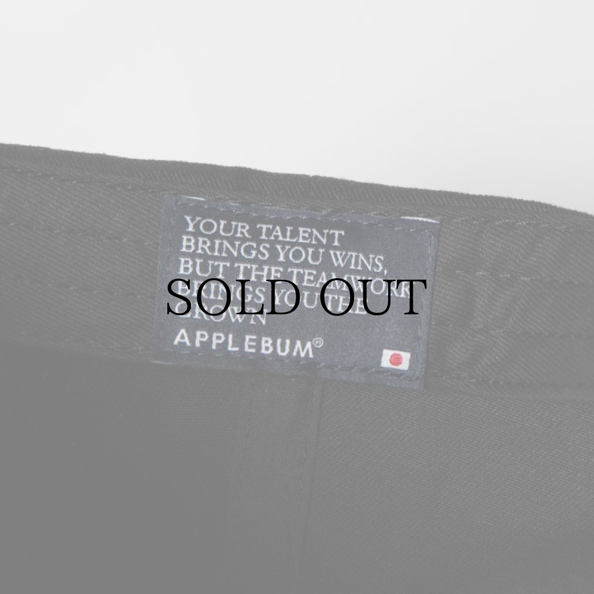 画像10: APPLEBUM(アップルバム) / "Tigers" Logo Cap (10)