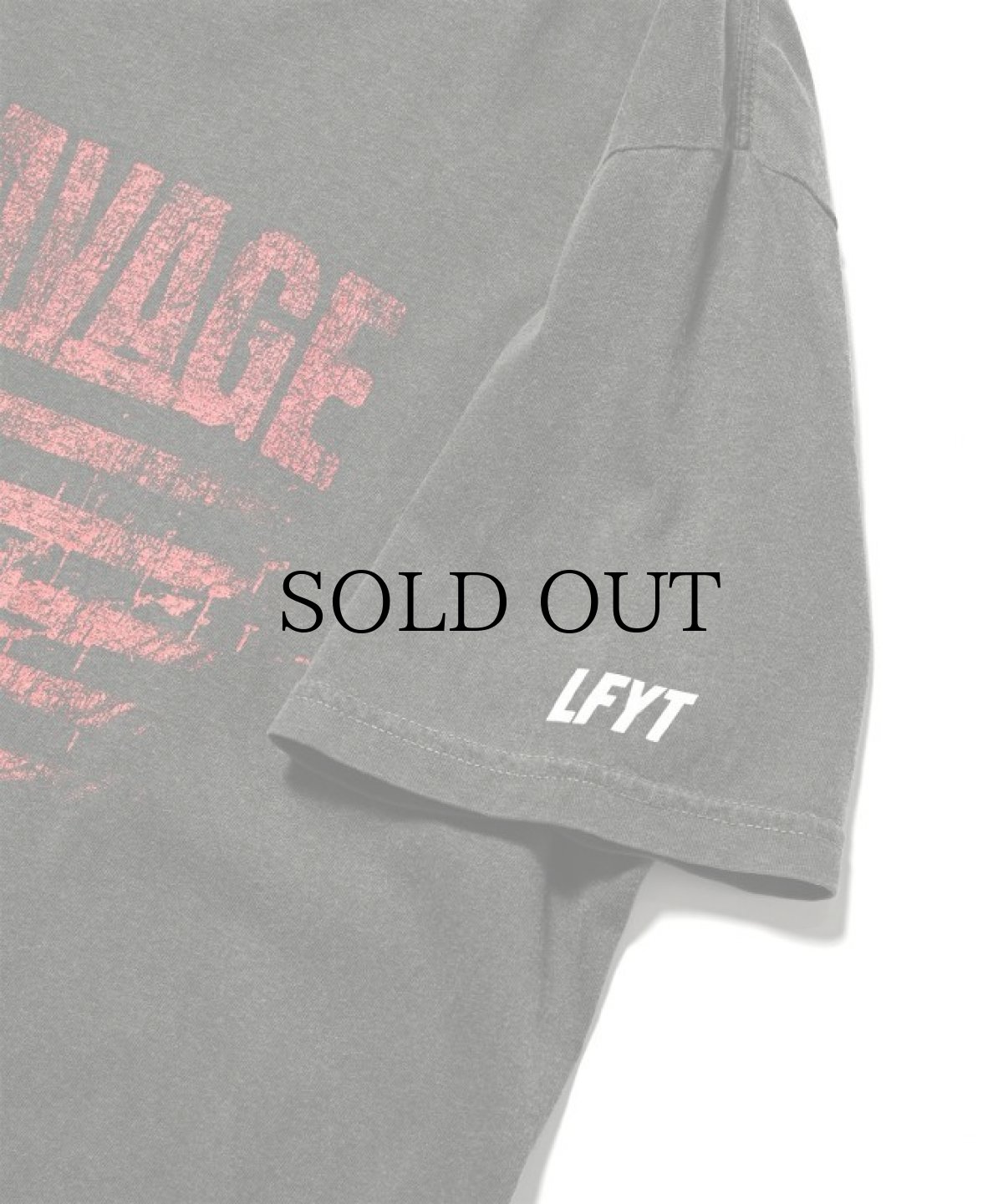 画像8: LFYT(ラファイエット) / LFYT x 21 Savage FLAGS TEE (8)