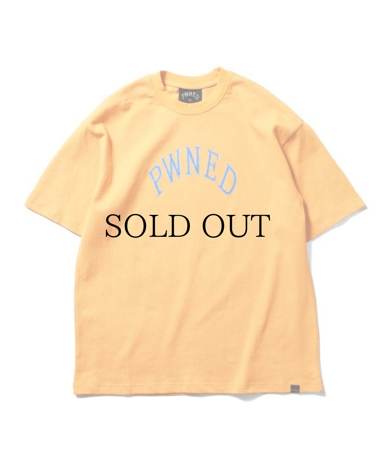 画像5: PWNED(パウンド) / PWNED LOGO TEE (5)