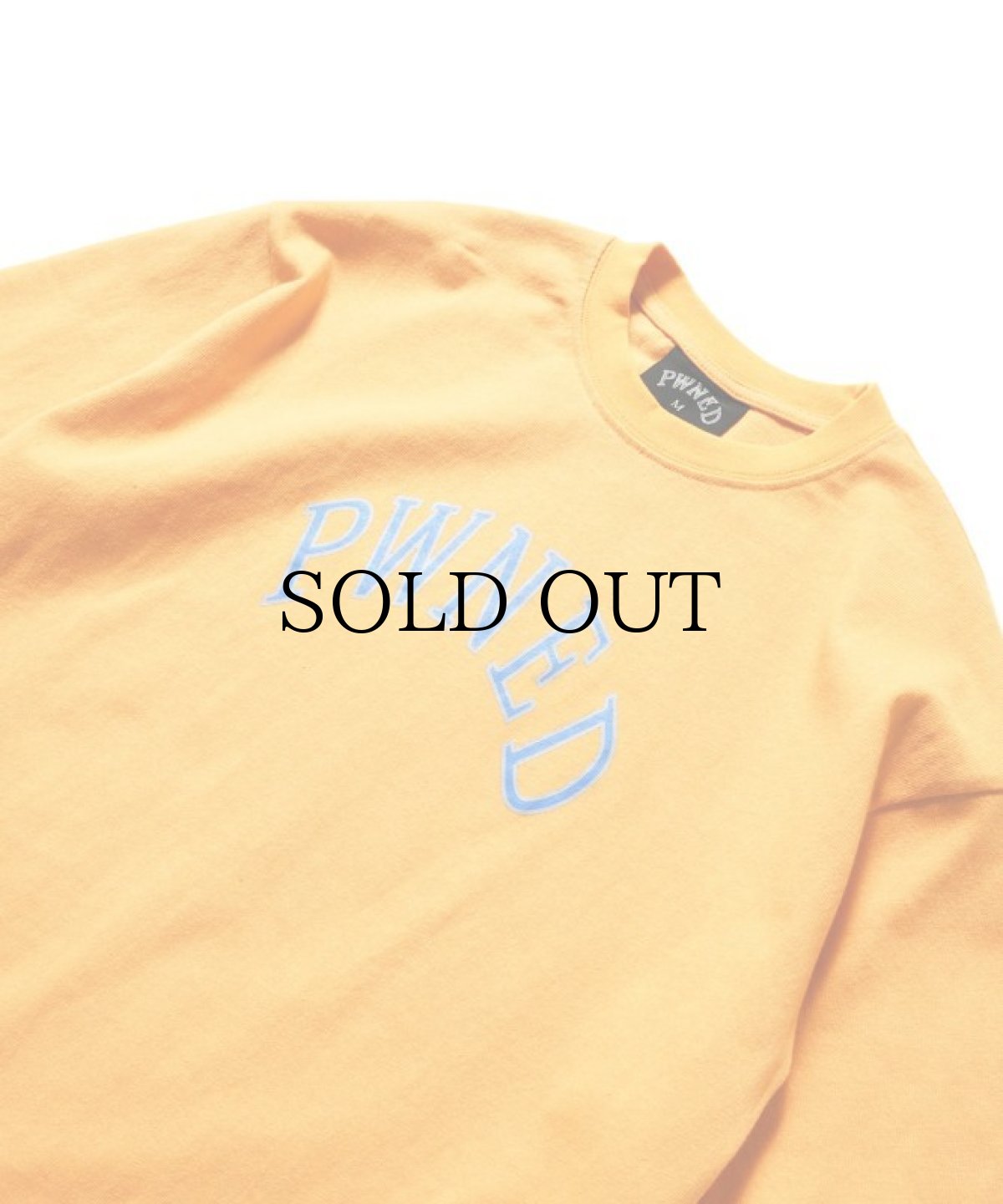 画像6: PWNED(パウンド) / PWNED LOGO TEE (6)