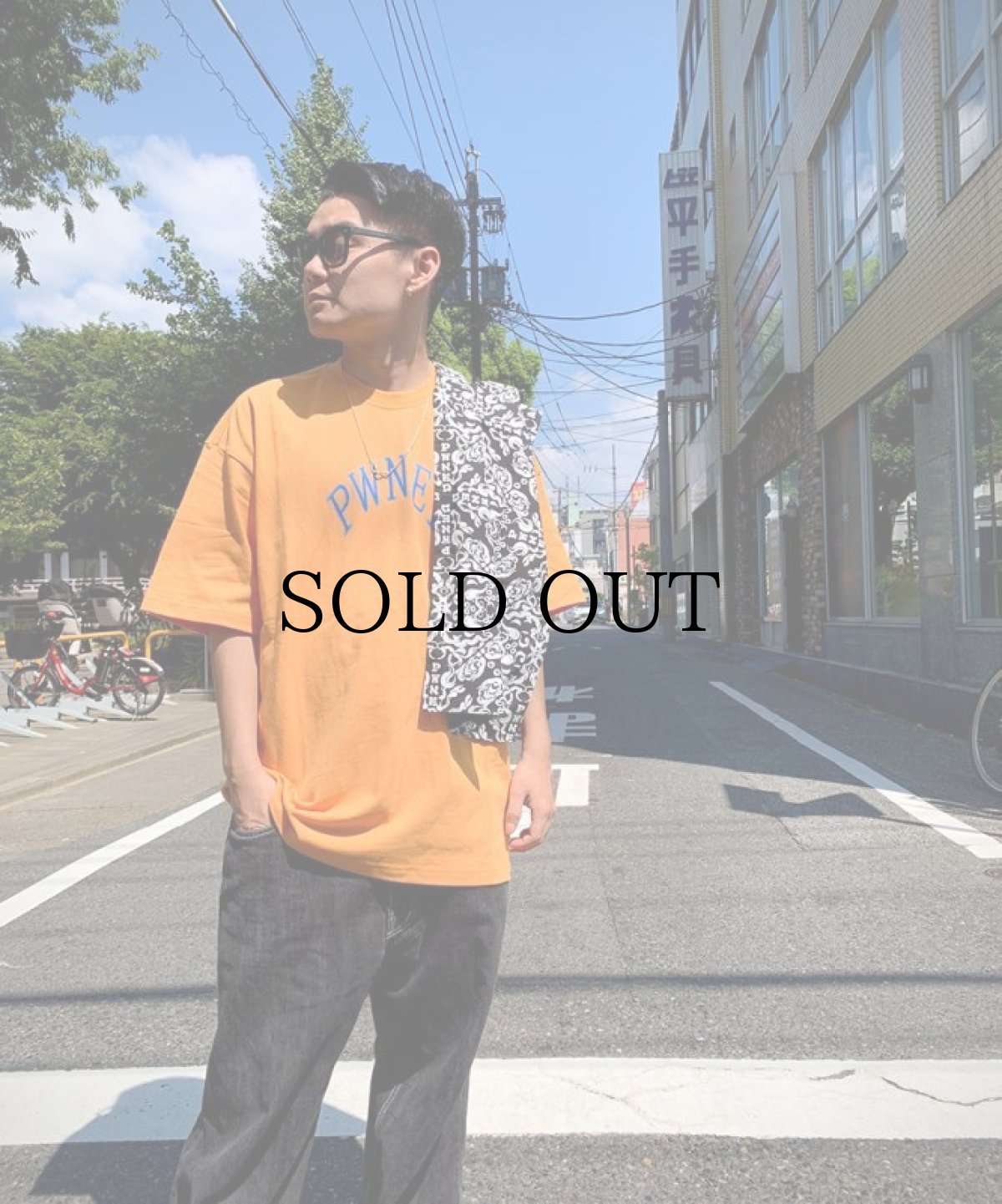 画像14: PWNED(パウンド) / PWNED LOGO TEE (14)