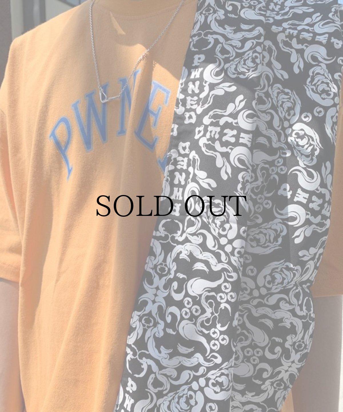 画像5: PWNED(パウンド) / NEO TENUGUI (5)