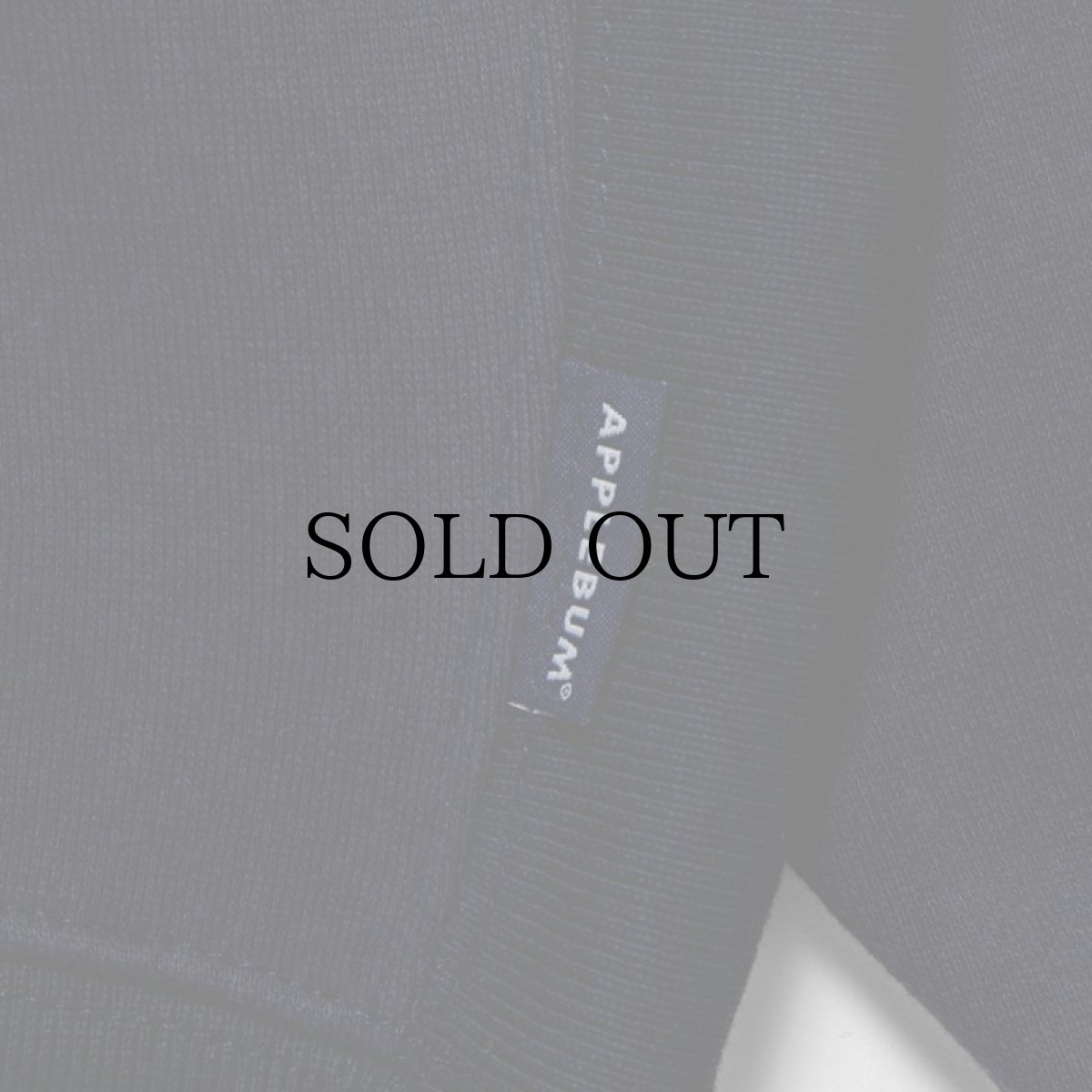 画像7: APPLEBUM(アップルバム) / Embroidery Logo Sweat Parka (7)