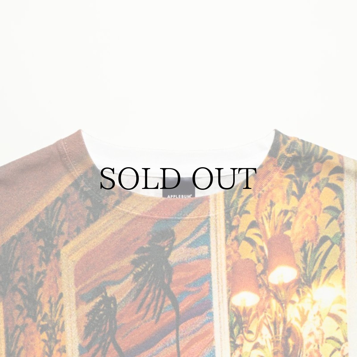 画像4: APPLEBUM(アップルバム) / “DST” All Print T-shirt (4)
