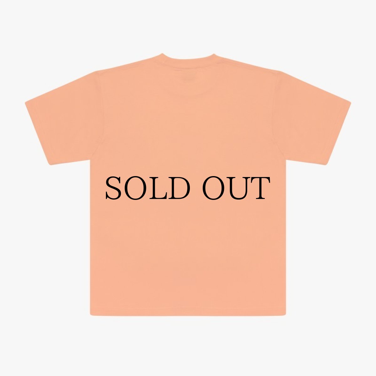 画像8: APPLEBUM(アップルバム) / “PDG” T-shirt (8)