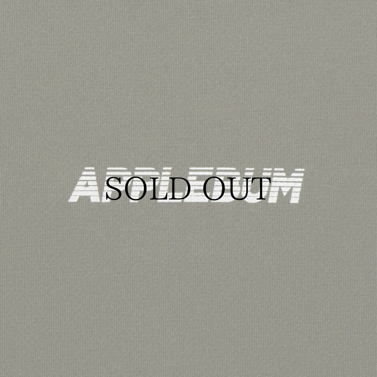 画像12: APPLEBUM(アップルバム) / Elite Performance (Logo) L/S T-shirt (12)