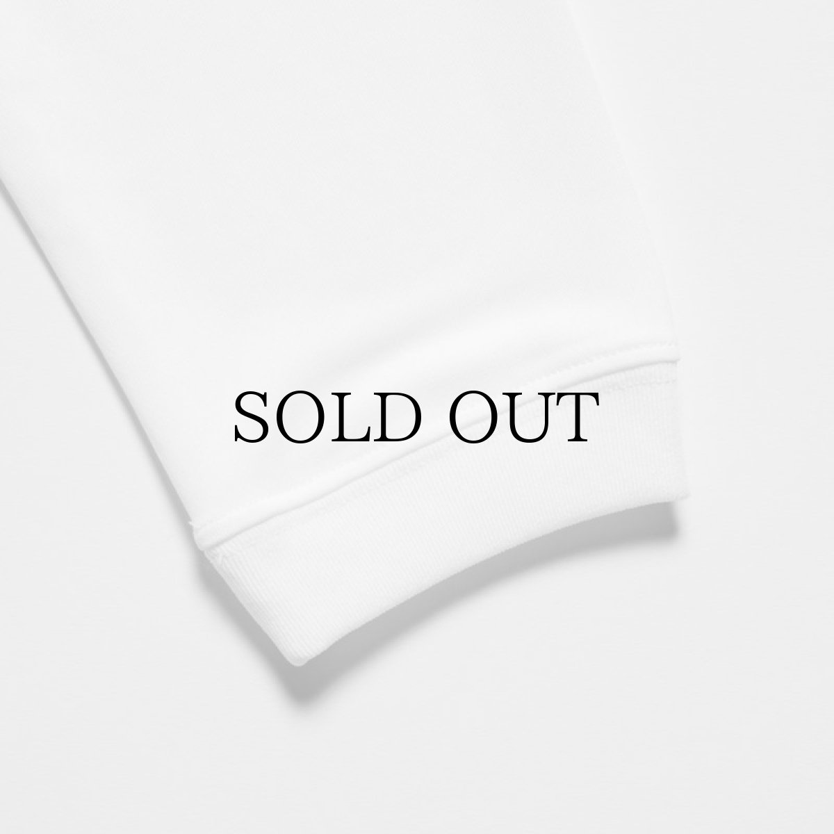 画像17: APPLEBUM(アップルバム) / Elite Performance (Logo) L/S T-shirt (17)