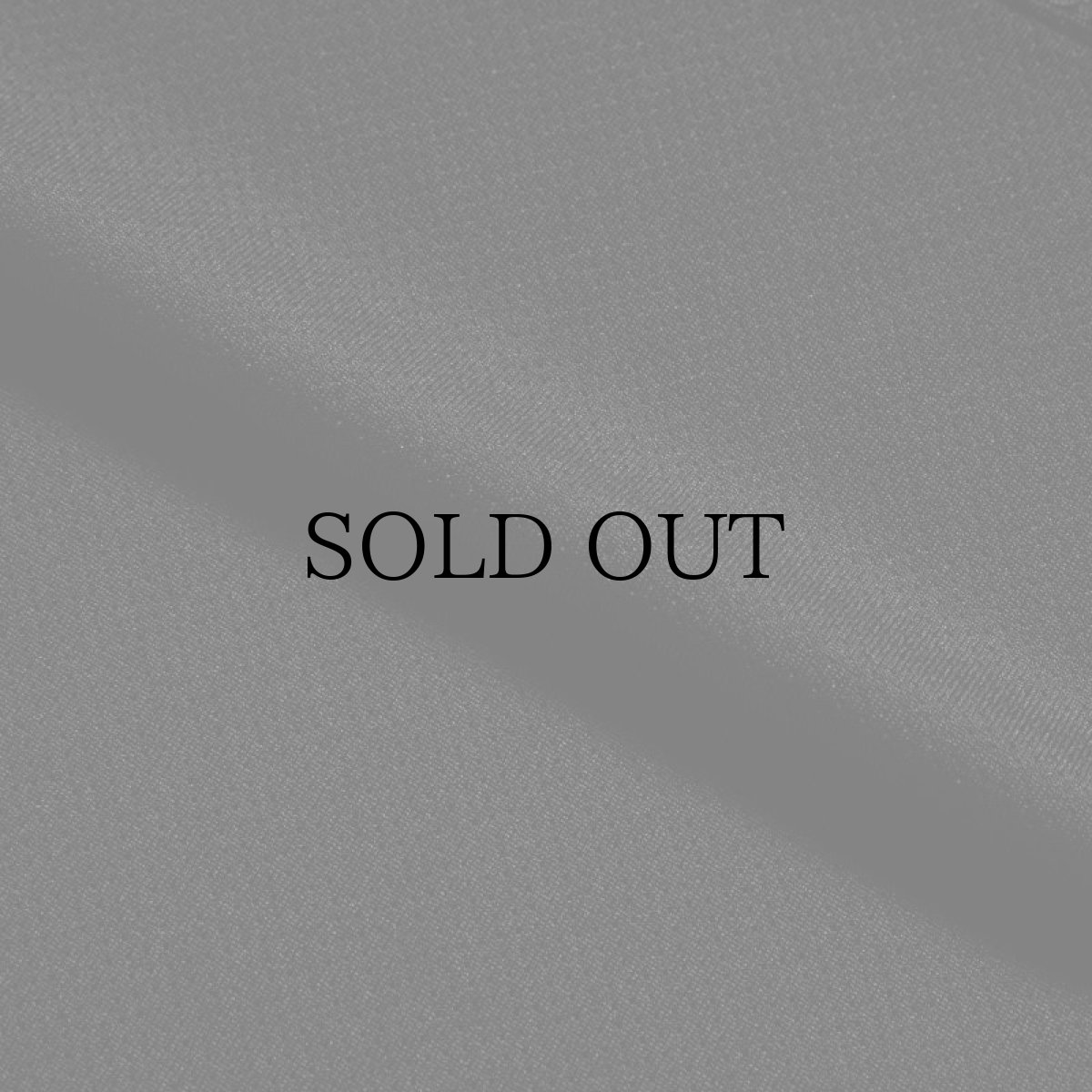 画像19: APPLEBUM(アップルバム) / Elite Performance (Logo) L/S T-shirt (19)