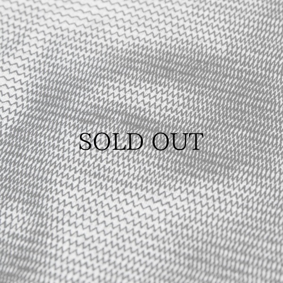 画像8: APPLEBUM(アップルバム) / "Stitch Photo Print" Sweat Parka (8)