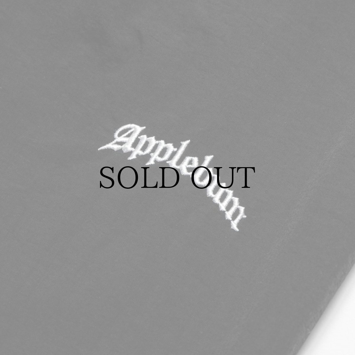 画像4: APPLEBUM(アップルバム) / NYLON TRAINING PANTS (4)