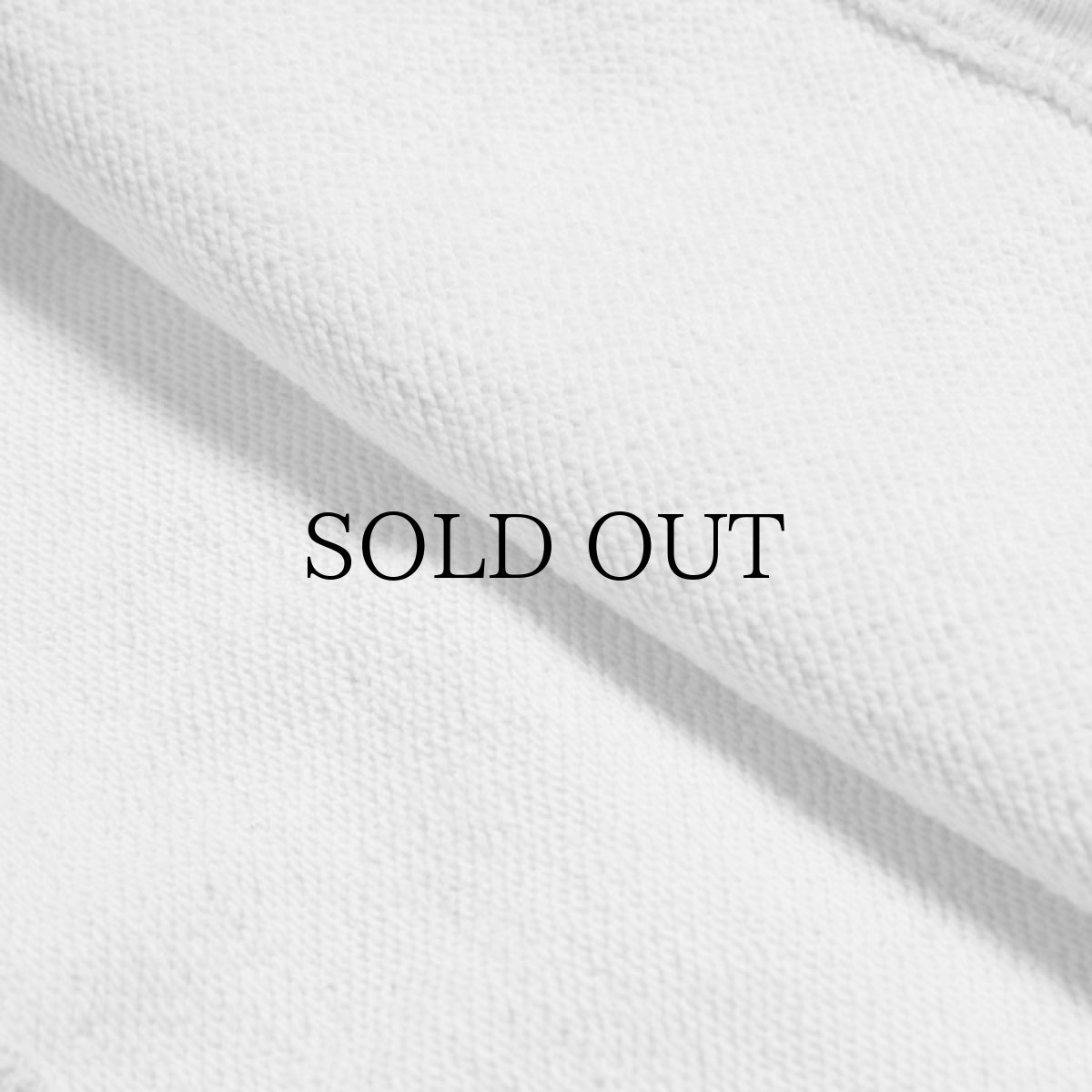 画像9: APPLEBUM(アップルバム) / "Stitch Photo Print" Sweat Parka (9)